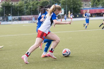 Bild 153 - wBJ Hamburger SV - FC Suederelbe : Ergebnis: 9:0